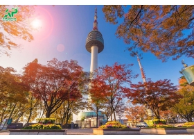 Du Lịch Hàn Quốc Busan - Seoul - Nami