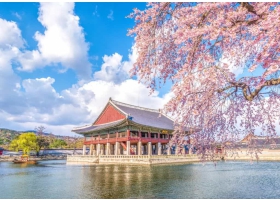 Khám Phá Xứ Sở Kim Chi - Seoul - Nami - Everland