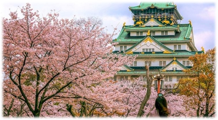 NGẮM HOA ANH ĐOÀ (SAKURA) 2026