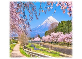 CUNG ĐƯỜNG VÀNG NHẬT BẢN TRƯỢT TUYẾT & NGẮM HOA MƠ (UME) 2026