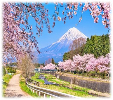 CUNG ĐƯỜNG VÀNG NHẬT BẢN TRƯỢT TUYẾT & NGẮM HOA MƠ (UME) 2026