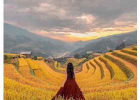 MÙ CANG CHẢI MÙA LÚA CHÍN