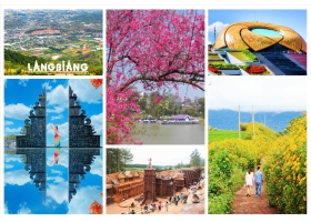 HÀNH TRÌNH HOA & BIỂN
