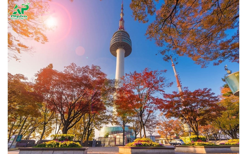 Du Lịch Hàn Quốc Busan - Seoul - Nami