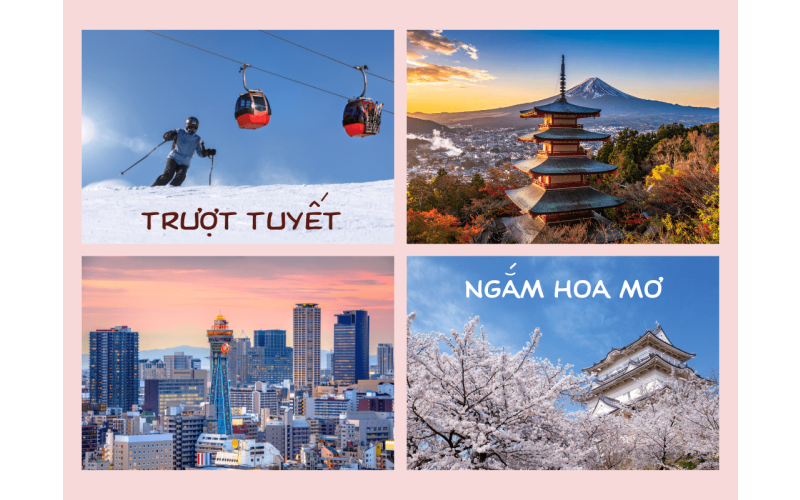 CUNG ĐƯỜNG VÀNG NHẬT BẢN TRƯỢT TUYẾT & NGẮM HOA MƠ (UME) 2026