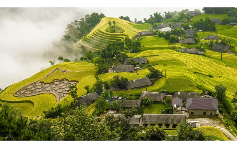 HOÀNG SU PHÌ - CHIÊU LẦU THI CỐC PÀI - BẮC HÀ
