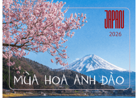 NGẮM HOA ANH ĐÀO (SAKURA) 2026