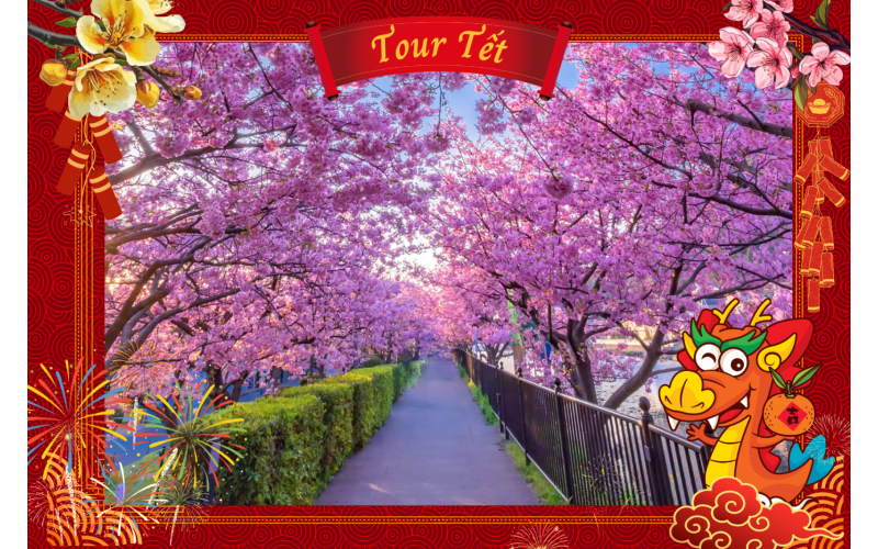 TẾT NGUYÊN ĐÁN 2024 + LỄ 14/2 TOUR NGẮM HOA KAWAZU SAKURA 2024