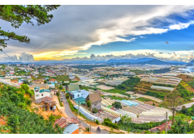 Đà Lạt Xứ Sở Ngàn Hoa