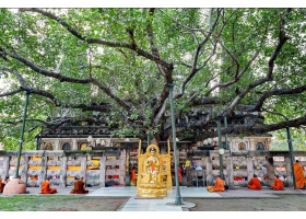 HÀNH TRÌNH VỀ VÙNG ĐẤT PHẬT