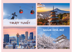CUNG ĐƯỜNG VÀNG NHẬT BẢN TRƯỢT TUYẾT & NGẮM HOA MƠ (UME) 2026
