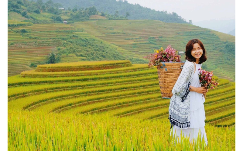 KHÁM PHÁ MÙA LÚA VÀNG TRÊN VÙNG TÂY BẮC