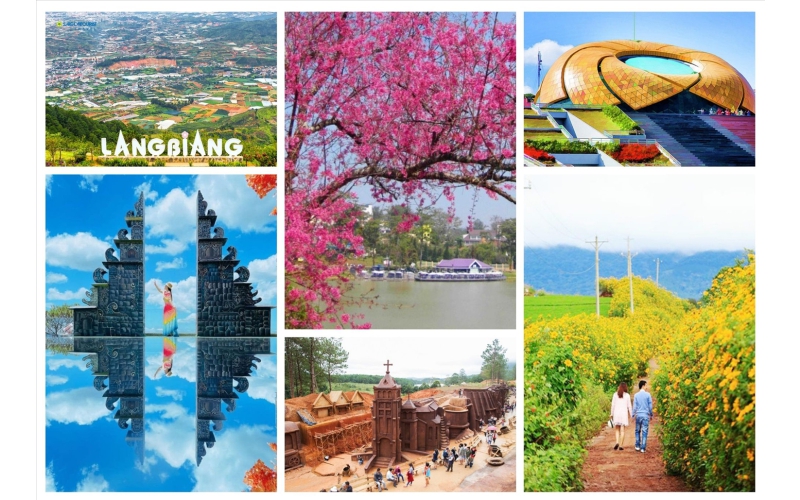 HÀNH TRÌNH HOA & BIỂN