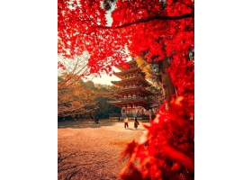 MÙA THU HOKKAIDO – NHẬT BẢN
