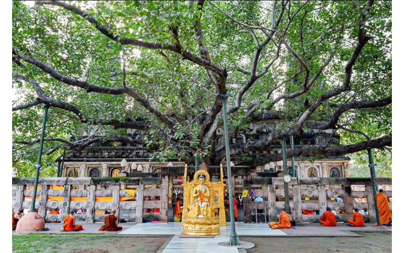 ẤN ĐỘ - HÀNH HƯƠNG VỀ ĐẤT PHẬT