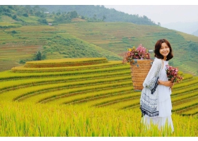 KHÁM PHÁ MÙA LÚA VÀNG TRÊN VÙNG TÂY BẮC